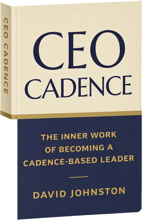 CEO Cadence paperback by David Johnston